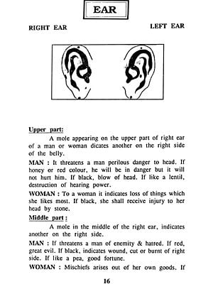 THE Body Moles Influence and Effect
