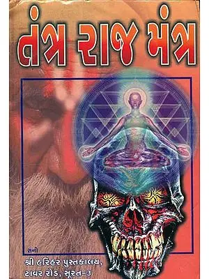 તંત્ર રાજ મંત્ર: Tantra Raja Mantra (Gujarati)