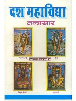 दश महाविद्या - तन्त्रसार: Dasa Mahavidya (Tantrasara)