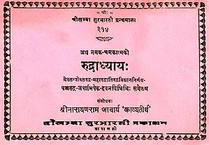 रुद्राध्याय: Rudradhyaya