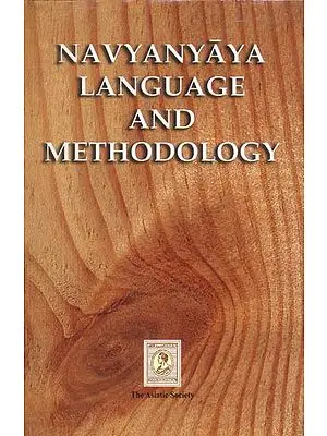 Navyanyaya Language and Methodology