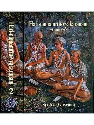 Hari Namamrta Vyakaranam - Learn Sanskrit Grammar Through the Names of Krishna (Set of 2 Volumes)