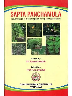 Sapta Panchamula (Seven Groups of Medicinal Plants Having Five Roots in Each)