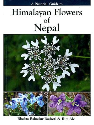 Himalayan Flowers of Nepal