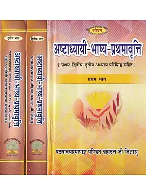 अष्टाध्यायी भाष्य प्रथमावृत्ति: Astadhyayi Bhashya (Set of 3 Voumes)