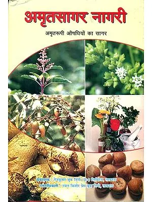 अमृतसागर नागरी:  Amrit Sagar Nagari (The Collection of Ayuvedic Medicines)