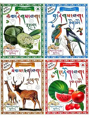 Learn Tibetan Alphabets Through Picture (Set of 4 Books)