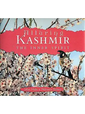 Alluring Kashmir (The Inner Spirit)