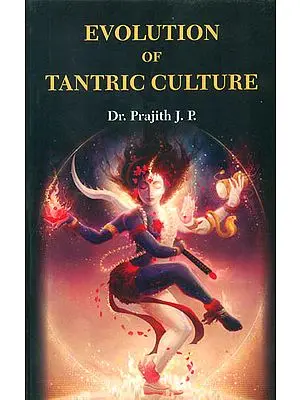Evolution of Tantric Culture