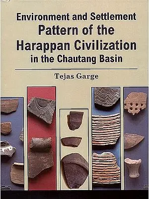Environment and Settlement Pattern of the Harappan Civilization in the Chautang Basin