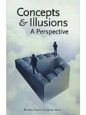 Concepts and Illusions (A Perspective)
