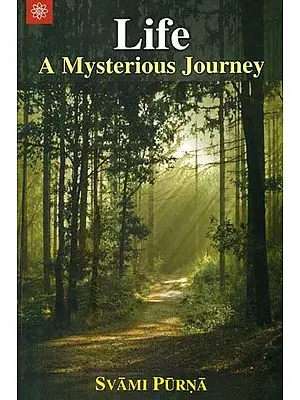 Life (A Mysterious Journey)