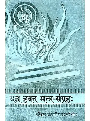 यज्ञ हवन मन्त्र संग्रह: Yajna Hawana Mantra Samgraha