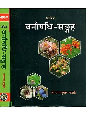 वनौषधि सङ्ग्रह: Collection of Forest Herbs with Colored Photographs (Set of 2 Volumes)