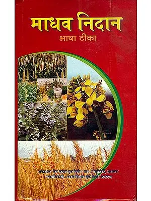 माधव निदान (संस्कृत एवं हिन्दी अनुवाद) - Madhava Nidana With Hindi Translation