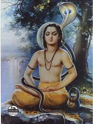 Shri Eknathi Bhagawat