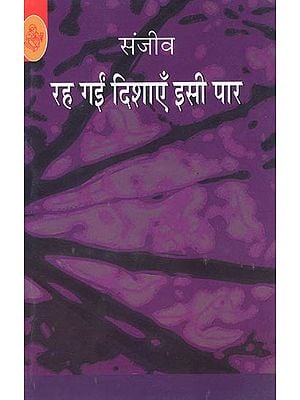 रह गईं दिशाएँ इसी पार: The Directions Have Remained Here