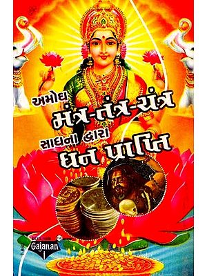 Earning Money Through Unfailing Mantra-Tantra-Yantra Sadhna (Gujarati)