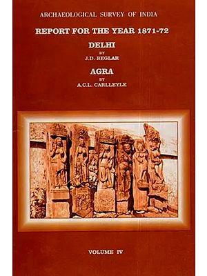 ASI Report for the Year 1871-72 Delhi and Agra (Volume IV)