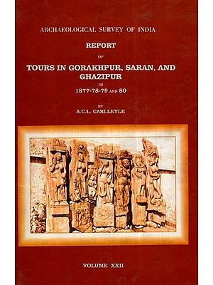 ASI Report of Tours in Gorakhpur, Saran, and Ghazipur in 1877- 78- 79 and 80 (Volume – XXII)