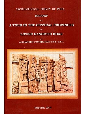 ASI Report of A Tour in the Central Provinces and Lower Gangetic Doab (Volume XVII)