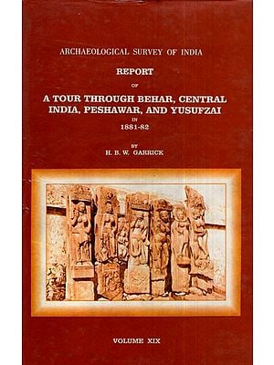 ASI Report of A Tour Through Behar, Central India, Peshawar, and Yusufzai in 1881- 82 (Volume XIX)