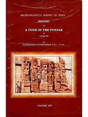 ASI Report of A Tour in The Punjab in 1878- 79