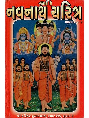 Shri Navnath Charitra [Part 1, 2, 3] - (Gujarati)