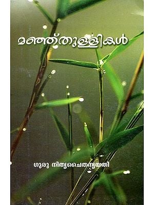 മഞ്ഞുത്തുള്ളി- Manjuthulli (Children's Literature in Malayalam)