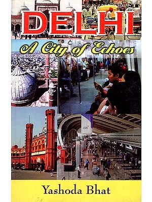 Delhi- A City of Echoes (Collection of Poems)