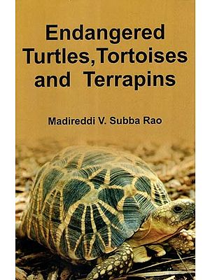 Endangered Turtles, Tortoises and Terrapins