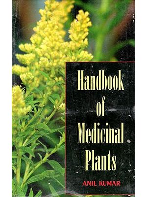 Handbook of Medicinal Plant