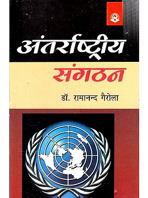 अन्तर्राष्ट्रीय संगठन- International Organization