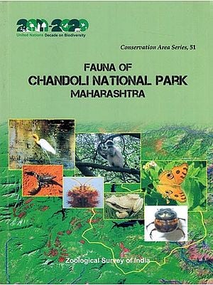 Fauna of Chandoli National Park Maharashtra