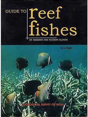 Guide to Reef Fishes of Andaman and Nicobar