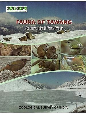 Fauna of Tawang Arunachal Pradesh