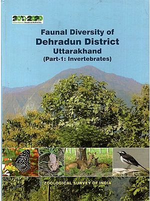 Faunal Diversity Dehradun District- Uttarakhand ( Part-1 Invertebrates)