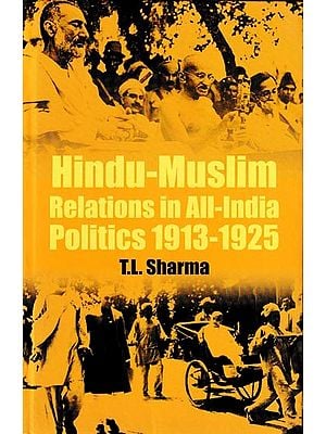 Hindu-Muslim Relations in All-India Politics 1913-1925