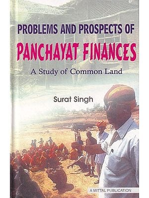 Problems and Prospects of Panchayat Finances: A Study of Common Land