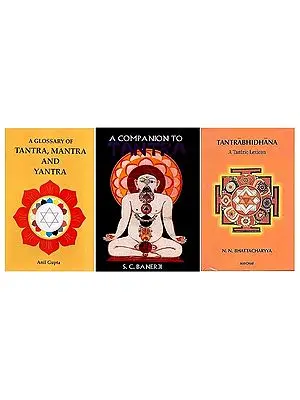 Dictionaries of Tantra (Set of 3 Books)