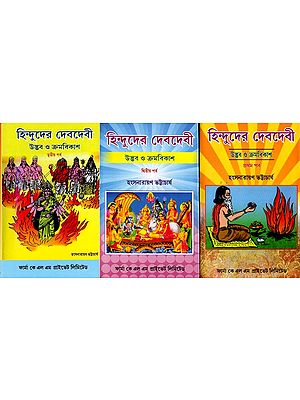 হিন্দুদের দেবদেবী- উদ্ভব ও ক্রমবিকাশ: Hindu Gods and Goddesses- Origin and Evolution in Bengali (Set of 3 Volumes)