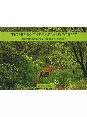 Tigers in the Emerald Forest- Ranthambhore after the Monsoon