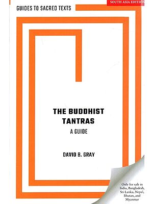 The Buddhist Tantras A Guide