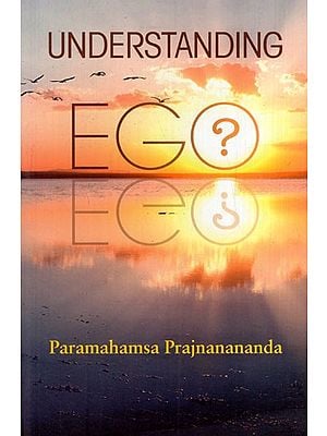 Understanding Ego