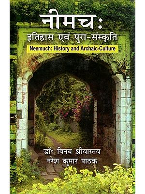 नीमचः इतिहास एवं पुरा-संस्कृति: Neemuch (History and Archaic-Culture)