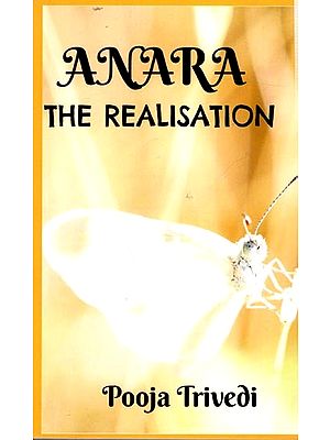 Ananra The Realisation (Novel)