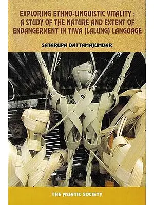 Exploring Ethno-Linguistic Vitality: A Study of the Nature and Extent of Endangerment in Tiwa (Lalung) Language