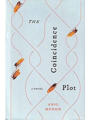 The Coincidence Plot (A Novel)