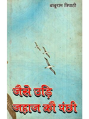 जैसे उड़ि जहाज कौ पंछी: Like a Flying Ship's Bird (Story's Collection)