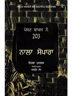 ਪੋਸਟ ਬਾਕਸ ਨੰ.203  ਨਾਲਾ ਸੋਪਾਰਾ: Post Box No. 203 Naala Sopara in Punjabi (Hindi Novels Awarded by Sahitya Akademi)